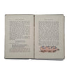 The Frog Prince and other stories by The Brothers Grimm - Raphael Tuck