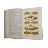 Mrs. Beeton's Book of Household Management