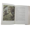 Great Swedish Fairy Tales illustrated by John Bauer - Delacorte Press, 1973
