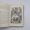 The Swiss Family Robinson by Johann David Wyss - W & R Chambers, c.1901