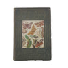 The Look About You Nature Book VII - T. C. & E. C. Jack