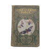 Some Curious Insects by F. Martin Duncan & L. T. Duncan