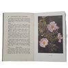 How To Find and Name Flowers by Thomas Fox - Cassell and Company, 1924