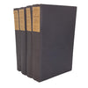 Don Quixote by Miguel de Cervantes Volumes 1-4 (4 Books)