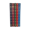 Tom Sawyer, Alice in Wonderland, Black Beauty, Heidi, Wind in the Willows (5 Books)