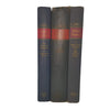 Mark Twain's Collected Works (3 Books)