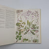 The Concise British Flora in Colour by W. Keble Martin - Ebury Press, 1967
