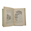 Lewis Carroll's Alice's Adventures in Wonderland & Through The Looking-Glass - Books Inc