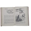 A Field Guide to Birds' Nests by Bruce Campbell & James Ferguson-Lees - 1st Edition, Constable, 1972