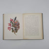 The Flowers and Their Story by H. Friend - Epworth Press, 1923