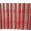Russian Literature - Brothers Karamazov Etc. (17 Red Books)