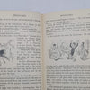 Pinocchio by Carlo Collodi - Nelson