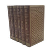 Robert Louis Stevenson Collected Works (14 Brown Books)