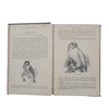 The Natural History of Selborne by Gilbert White - Routledge, c.1880