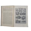 Mrs Beeton’s Every Day Cookery - Ward Lock, c.1912 (Green)