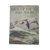 Birds of the Sea and Shore by Robert Aitchen and Gladys Davidson