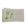 Wild Flowers, Volume I by Anne Pratt - SFPCK, 1898