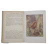 The Hedge I Know edited by W. Percival Westell and Henry E. Turner - Dent, 1912