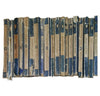 Well-Loved Books by the Foot: Blue Penguin Biographies