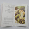The Flower Fairies Gardening Year with Illustrations by Cicely Mary Barker - Blackie, 1983
