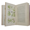 Culpeper's British Herbal - Milner & Company