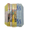 Enid Blyton's The Secret Seven Collection - Brockhampton (6 Books)