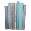 Books By The Foot: Pale Blue Collection