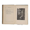 Edgar Allan Poe's Poetical Works 1873 - W. P Nimmo