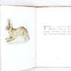 Beatrix Potter's The Story of a Fierce Bad Rabbit - White Cover
