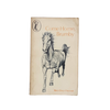 Come Home, Brumby by Mary Elwyn Patchett - Puffin, 1972