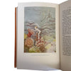 Charles Kingsley's The Water Babies - Dent, 1979