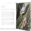 old-ladybird-animals-garden-birds-kindergarten-books-country-house-library
