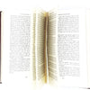 classic-emily-bronte-wuthering-heights-red-country-house-library