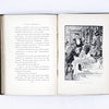 illustrated-vain-fortune-moore-red-country-house-library
