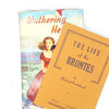 brown-old-rare-emily-vintage-country-house-library-classics-wuthering-heights-books-thrift-bronte-collection-red-