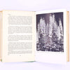 Garden Book Club, Compost Flower Growing, S.A.Brown, 1960