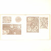 Designing With String by Mary Seyd 1967