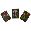 The British Museum Delany Flowers - Mini Notebook Set of Three