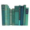 Books By The Foot: Vintage Turquoise / Neo Mint Collection