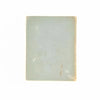 Vere Foster's Simple Lessons In Water Color: Flowers 1884