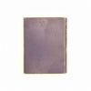 The New Book of Birds by Horace G. Grosser 1909