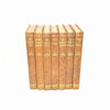 A. A. Milne Collection (Minerva Edition) - Country House Library