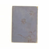Only a Rosebud by Cecilia Findlay c1901