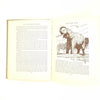 All The Mowgli Stories by Rudyard Kipling 1956