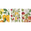 Botanical Art Notebook Set - Bodleian Library
