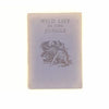 C. Bernard Rutley's Wild Life In The Jungle 1963 - Country House Library