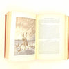 Hans Christian Andersen's Fairy Tales 1891