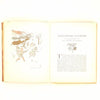 A Wonder Book by Arthur Rackham