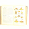Mrs. Beeton's Every-Day Cookery 1907