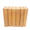 Charles Dickens Collection - Chapman & Hall 1906 - Country House Library